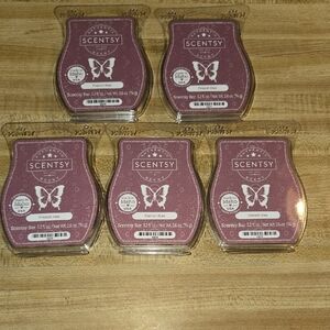 🔥*RETIRED*🔥 Set Of 5 French Kiss Wax Bars